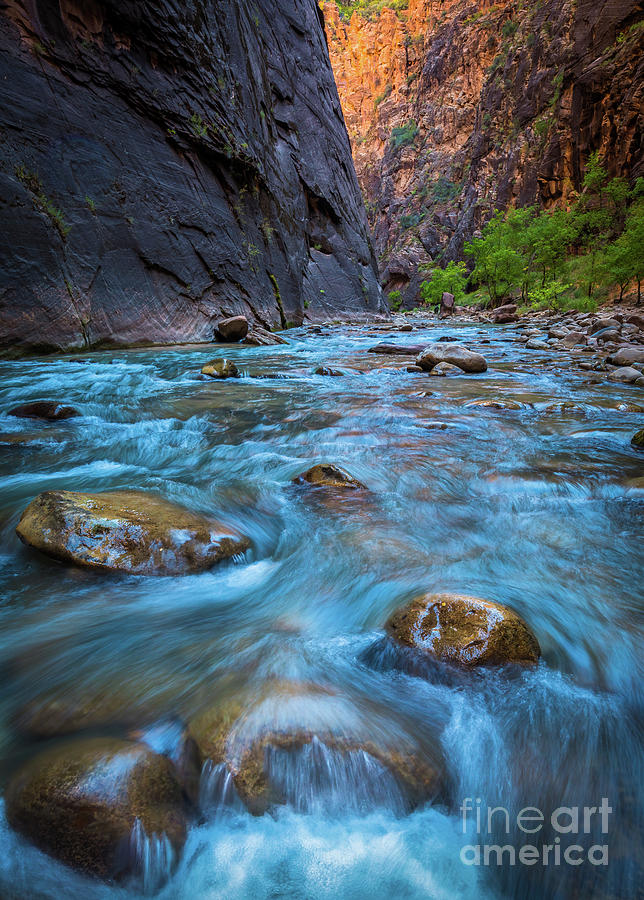 Virgin River Rocks Photograph by Inge Johnsson