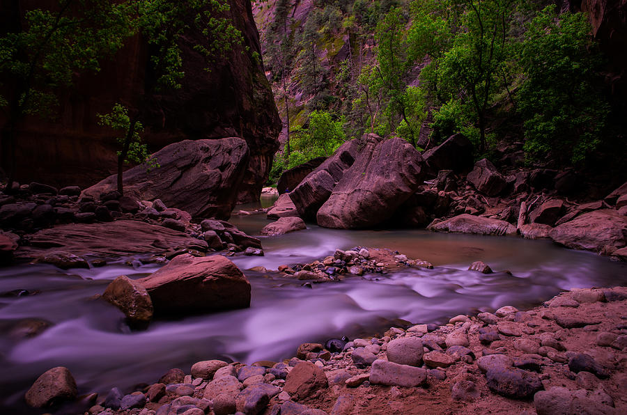 Virgin River The Narrows Zion National Park Photograph by Scott McGuire