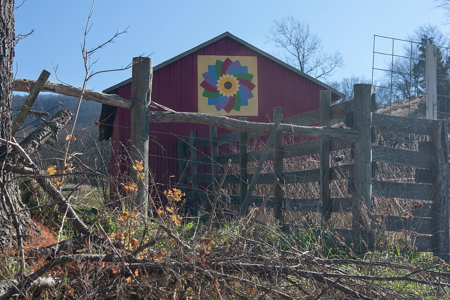 Virginia Barn Quilt Series XXI Photograph by Suzanne Gaff
