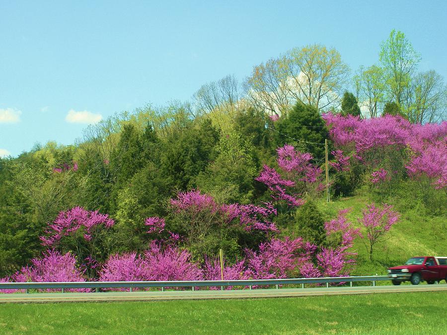 Virginia beauty along the Interstate Photograph by Jeanette Oberholtzer
