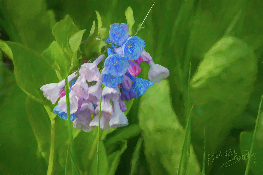 Virginia Bluebell at Springtime Digital Art by Judith Barath
