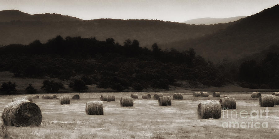 Virginia Country Living Photograph by Thomas R Fletcher