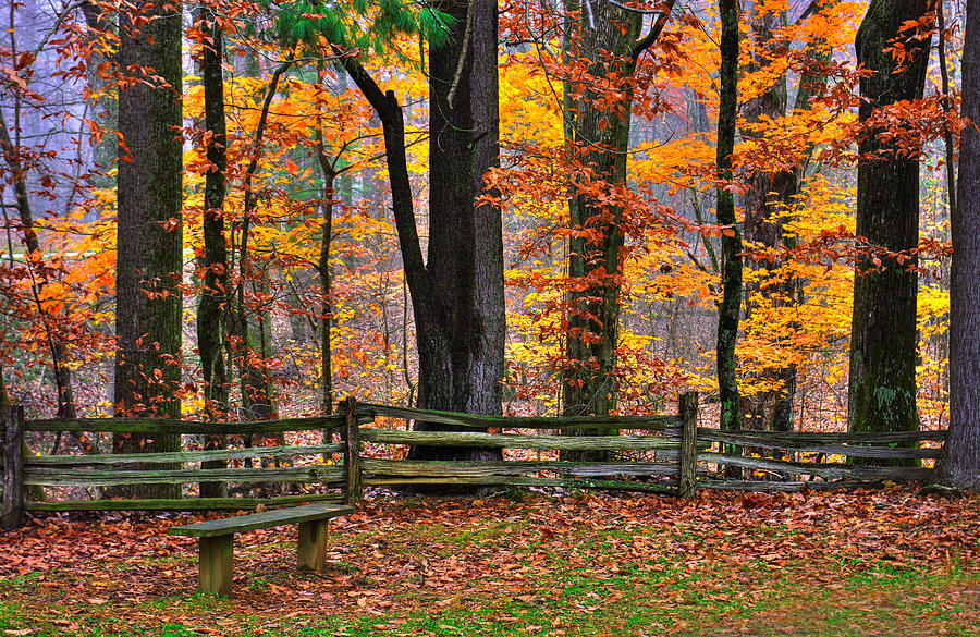 Virginia Country Roads - A Seat With a View - Autumn Colorfest No. 1 Near Mabry Mill - Floyd County Photograph by Michael Mazaika