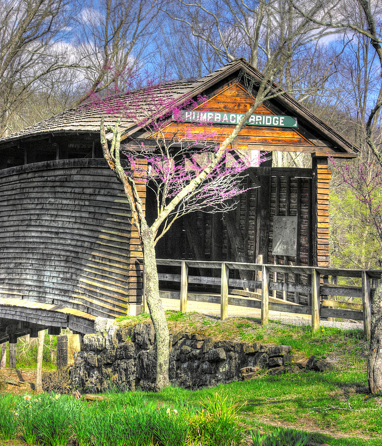Virginia Country Roads - Humpback Covered Bridge Over Dunlap Creek No. 4B - Spring, Alleghany County Photograph by Michael Mazaika