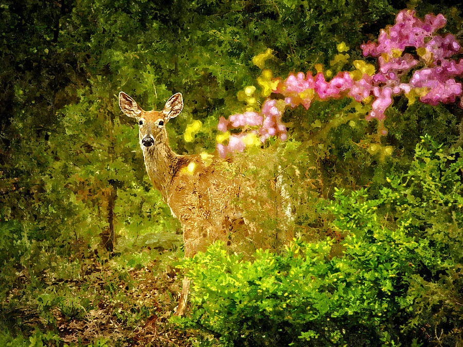 Virginia Deer Painting by Rick Mosher