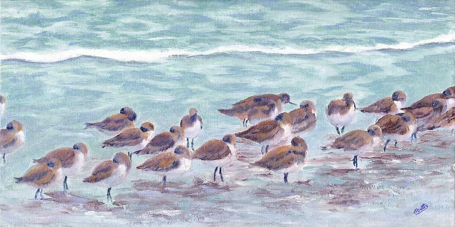 Virginia Is for Plovers Painting by Deborah Butts