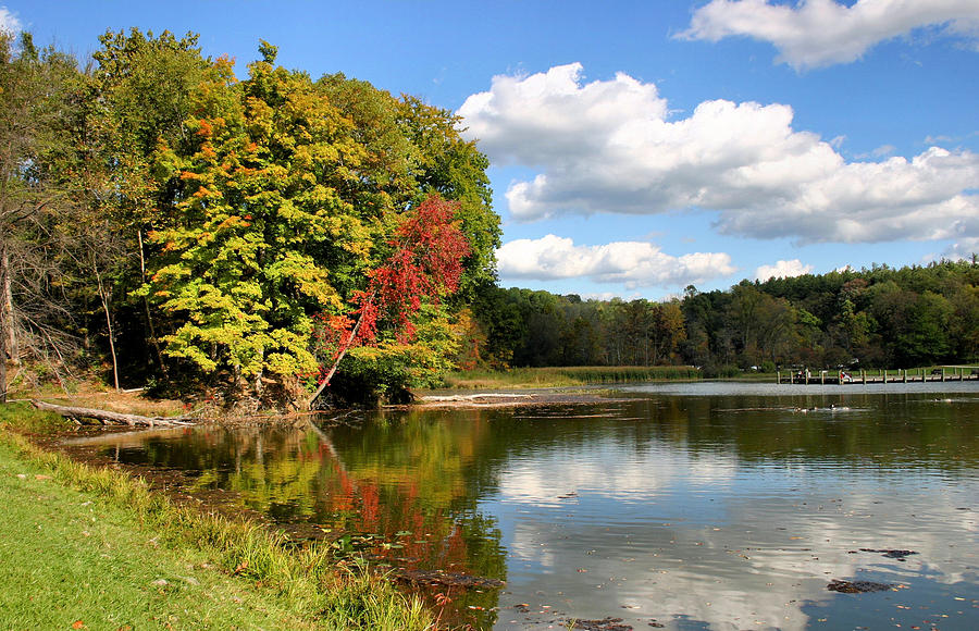 Virginia Kendall Park Photograph by Kristin Elmquist