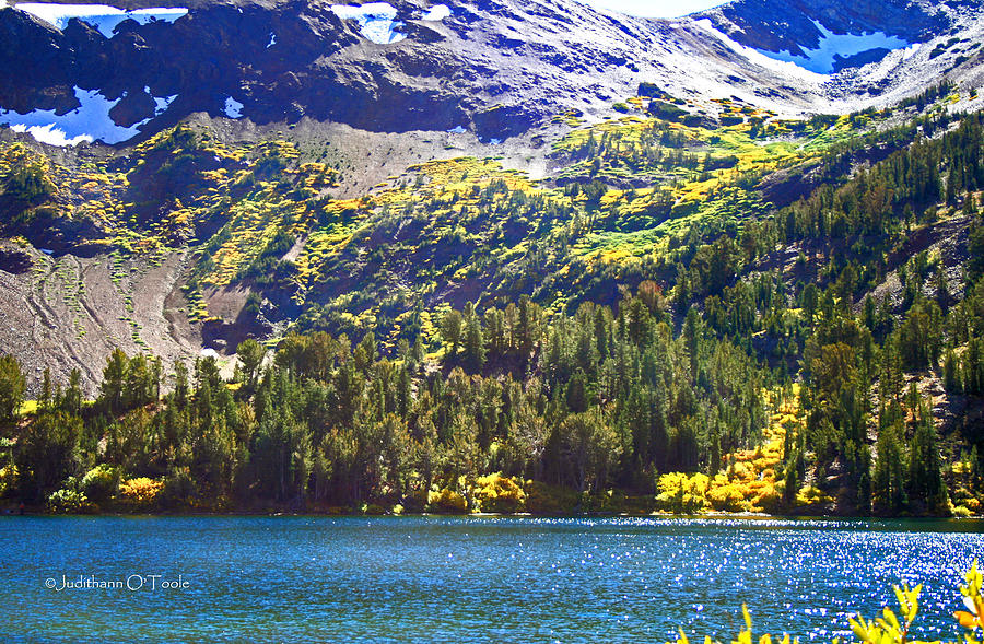 Virginia Lakes Bridgeport, California Photograph by Judithann O'Toole