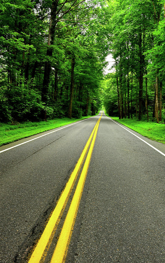 Virginia Road Photograph by David Cabana - Fine Art America