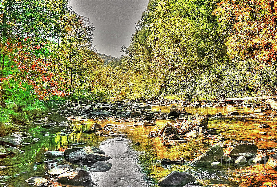 Virginia VA Art - Dunlap Creek - Covington VA Virginia Photograph by Dave Lynch