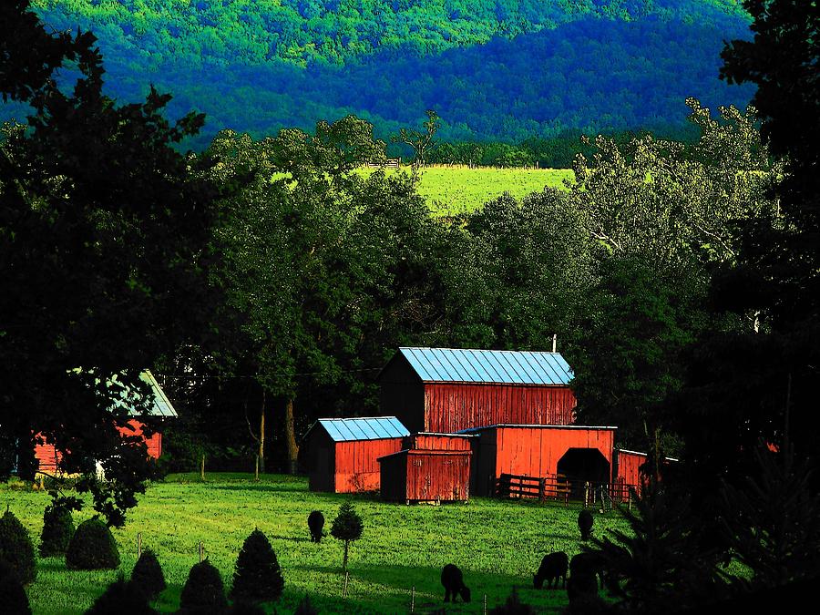 Virginia Valley View Photograph by Joyce Kimble Smith