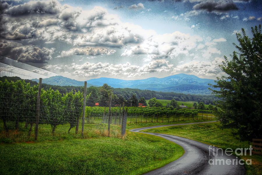 Virginia Wine Country Photograph by Kerri Farley