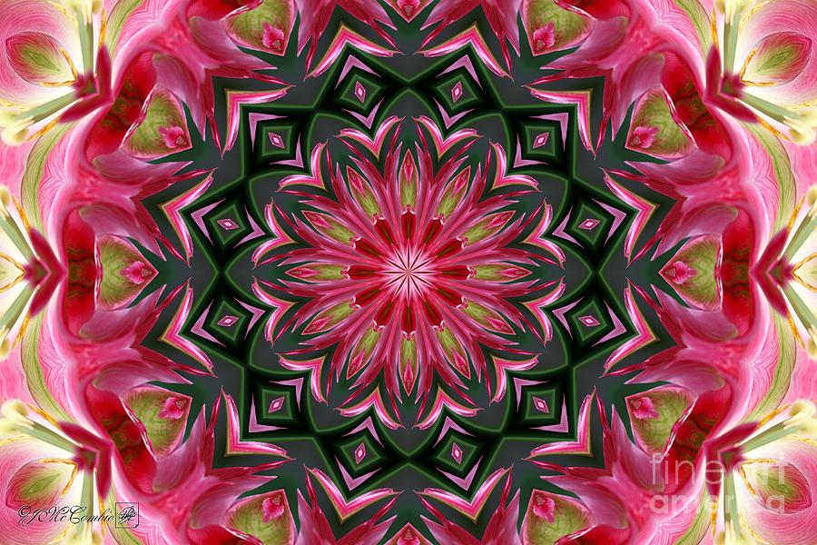 Virichic Kaleidoscope Digital Art by J McCombie