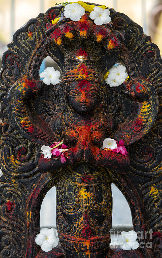 Avatar Photograph - Vishnu by Tim Gainey