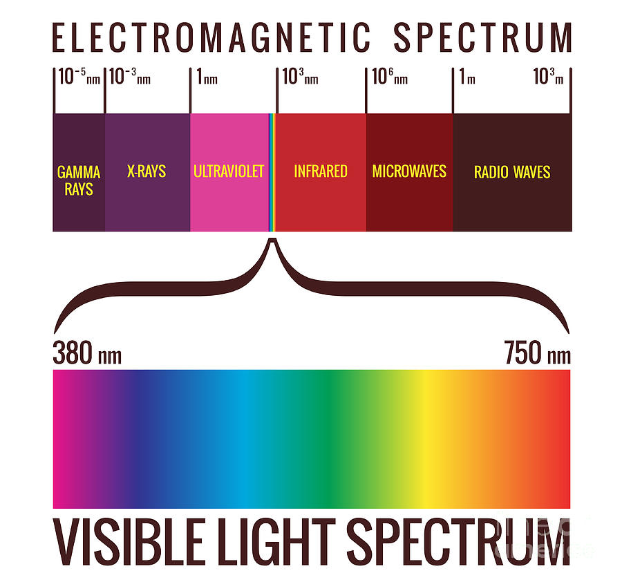 visible light spectrum for kids