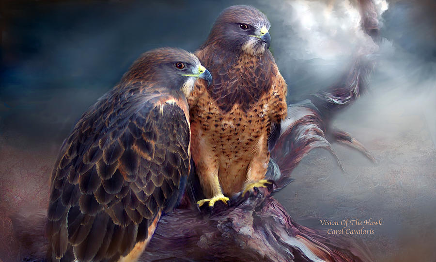 Vision Of The Hawk Mixed Media by Carol Cavalaris