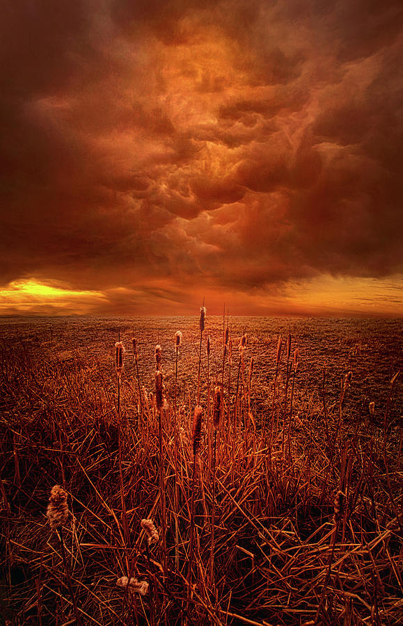 Vision Softly Speaking Photograph by Phil Koch