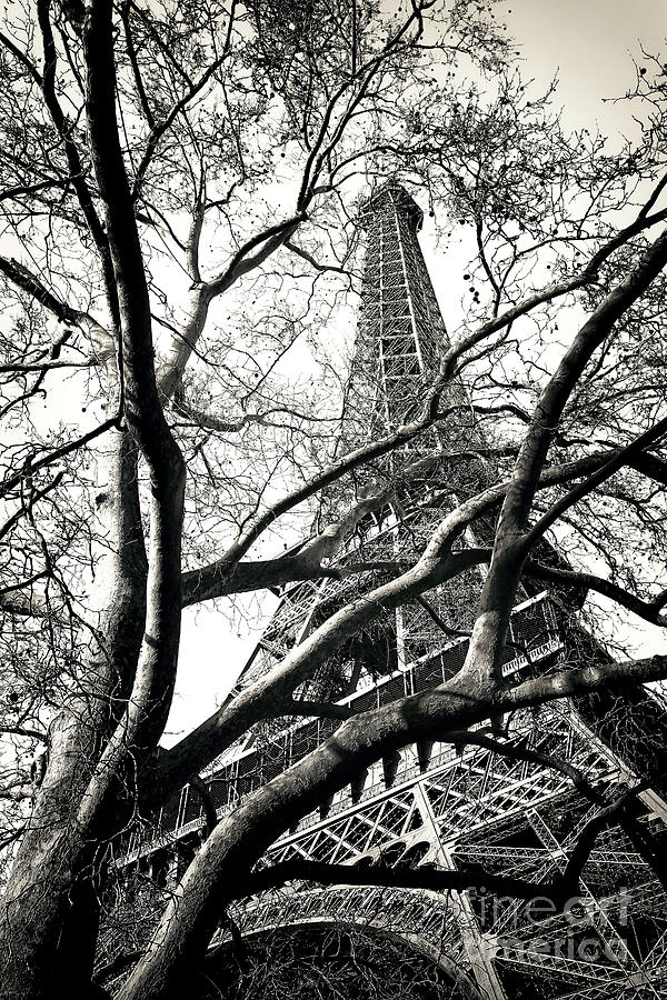 Visions of la Tour Eiffel in Paris Photograph by John Rizzuto