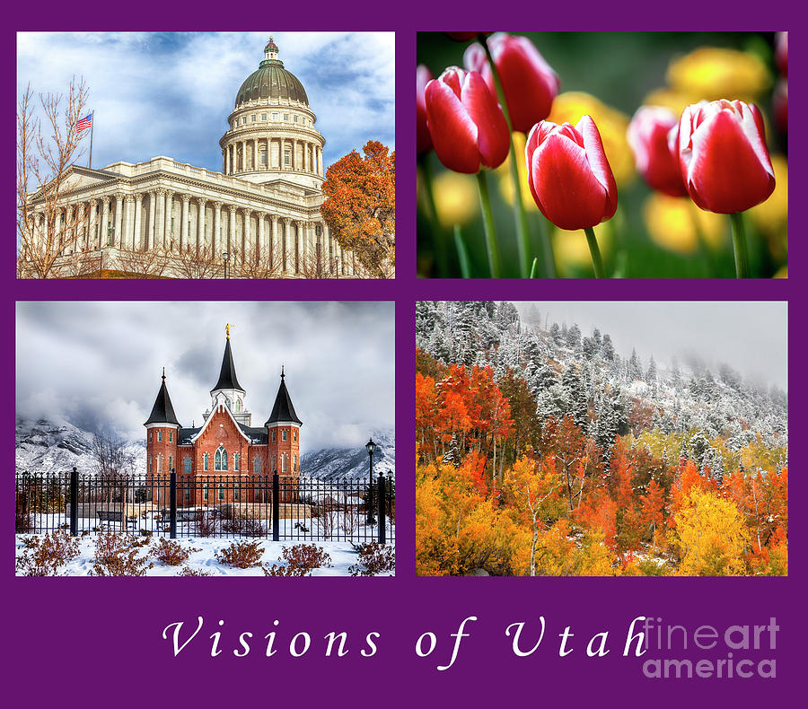 Visions of Utah Photograph by David Millenheft