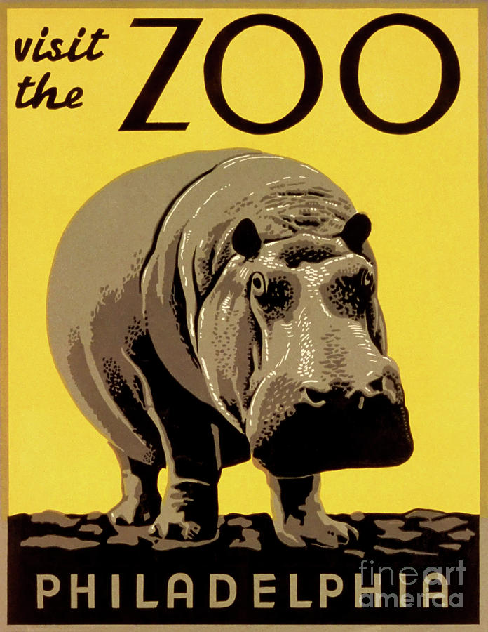 Visit the Zoo Philadelphia Drawing by Heidi De Leeuw