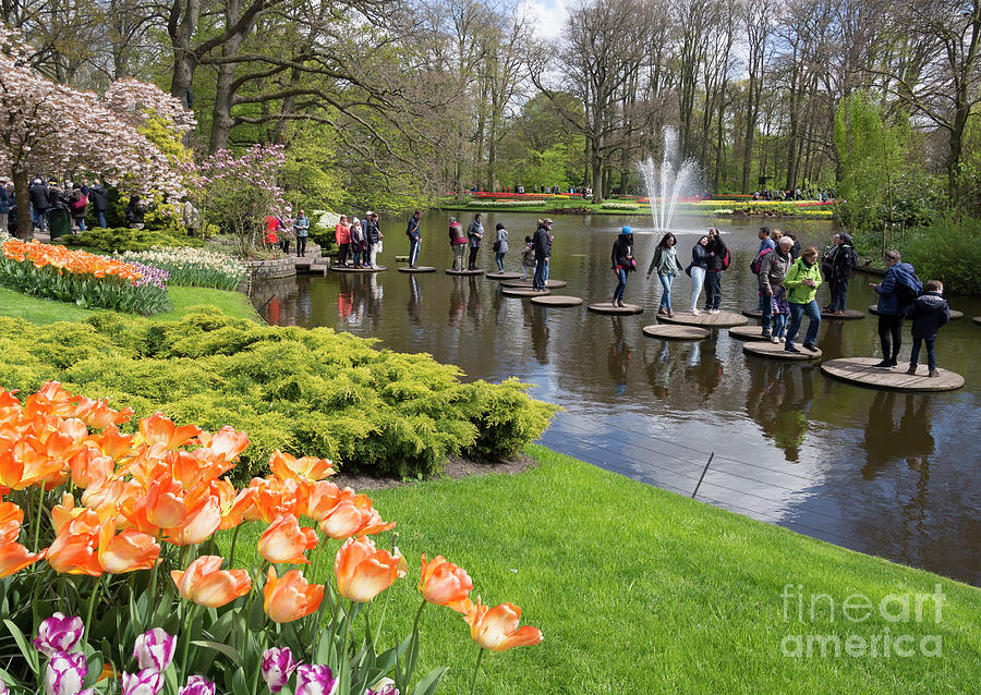 Visitors try the stepping stones at Keukenhof Gardens Holland Photograph by Louise Heusinkveld