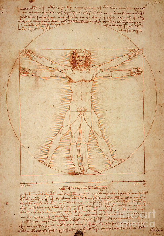 Vitruvian Man 1490 By Leonardo Da Vinci Drawing by ArtAnthology