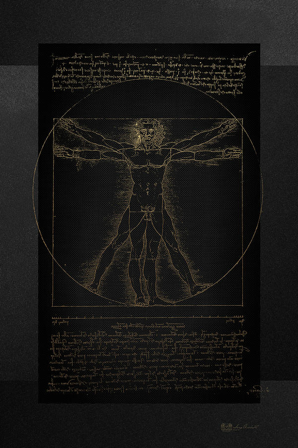Vitruvian Man by Leonardo da Vinci in Gold on Black Digital Art by Serge Averbukh