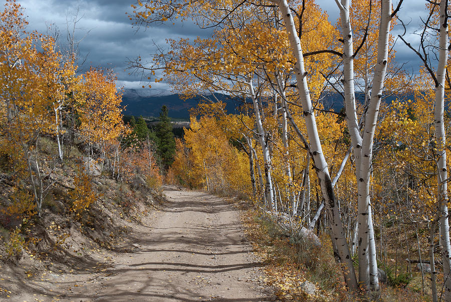 Vivid Autumn Colors Of Colorado Photograph
