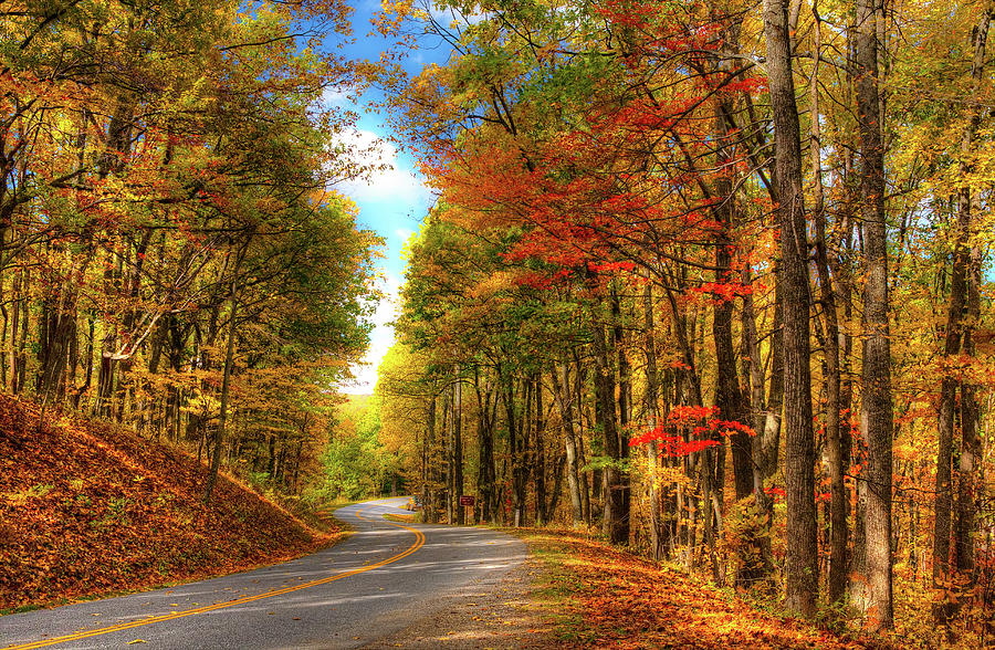 Vivid Autumn in the Blue Ridge Mountains Photograph by Dan Carmichael