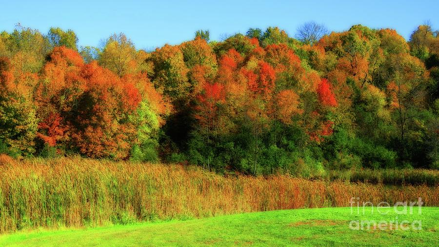 Vivid Autumn Photograph by Putterhug Studio