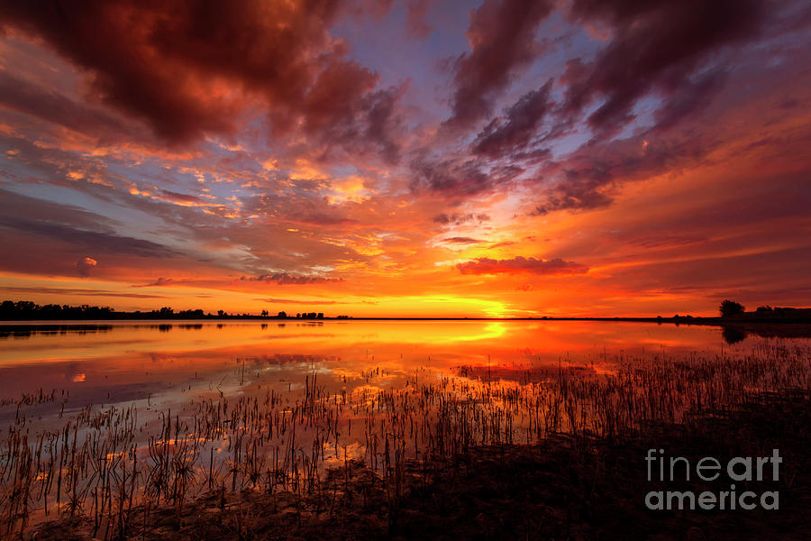 Vivid Colorful sunrise or sunset reflecting in a lake Photograph by Ronda Kimbrow