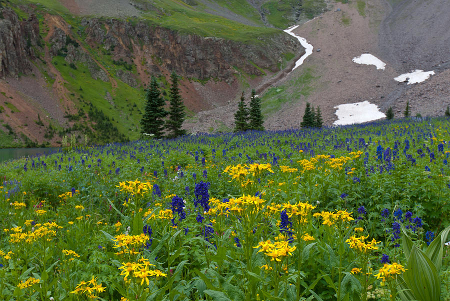 Vivid Colors of the Colorado Alpine Photograph by Cascade Colors