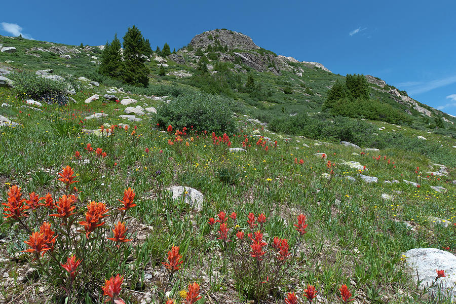 Vivid Orange and Blue Colorado Landscape Photograph by Cascade Colors