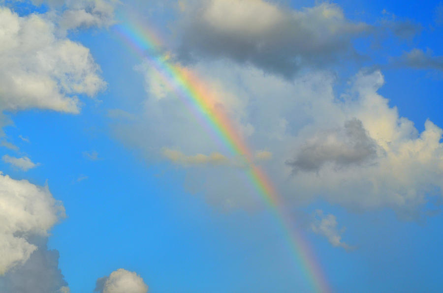 Vivid Rainbow Photograph by Ally White