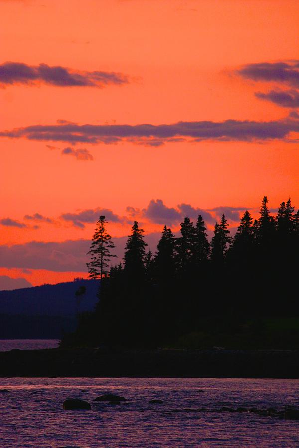 Vivid Sky in Castine Photograph by Polly Castor