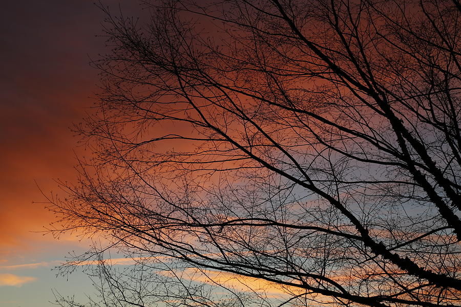 Nature Photograph - Vivid Sky by Jeff Roney