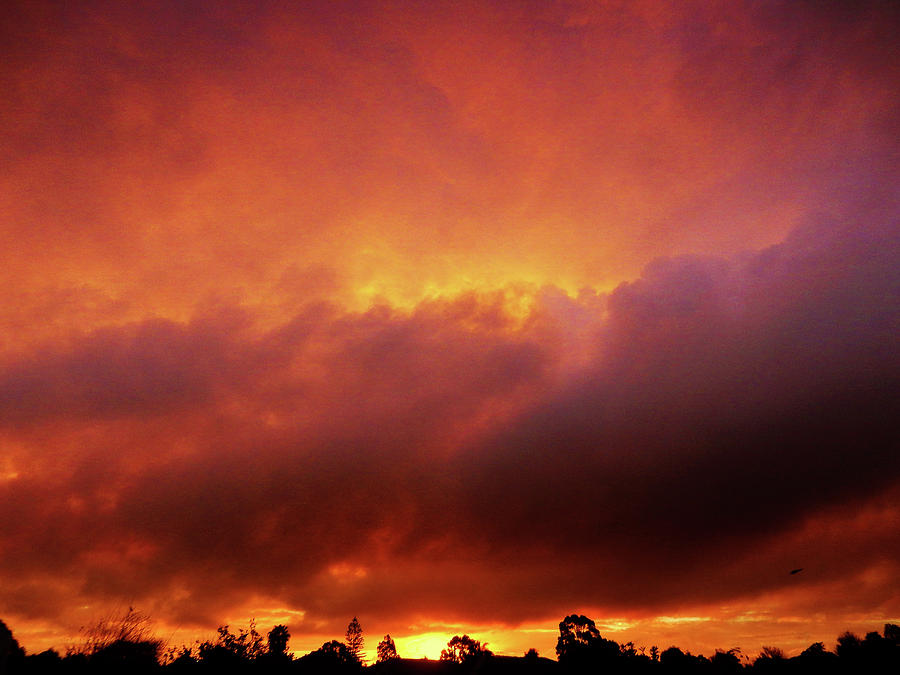 Vivid Sunset Photograph by Mark Blauhoefer