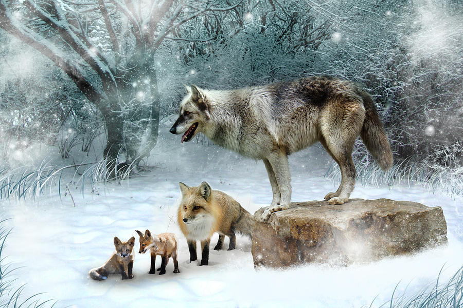 Wolves Digital Art - Vladimir Vanessa and the Vixens  by Julie L Hoddinott