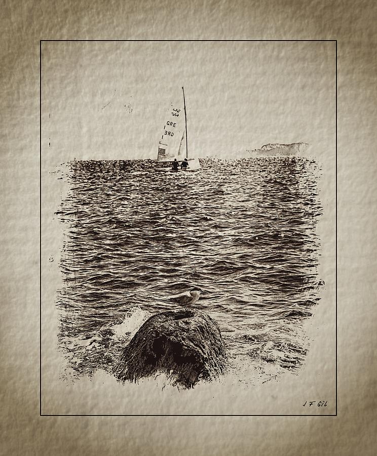 Boat on the Sea #2 Photograph by Jean Francois Gil