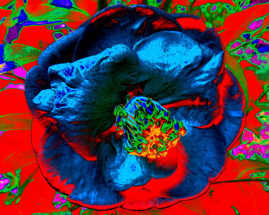 Volcanic Blossom Digital Art by Larry Beat