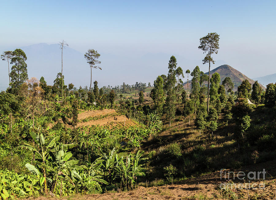 Volcanic landscape in Garut, Java, Indonesia Photograph by Didier Marti