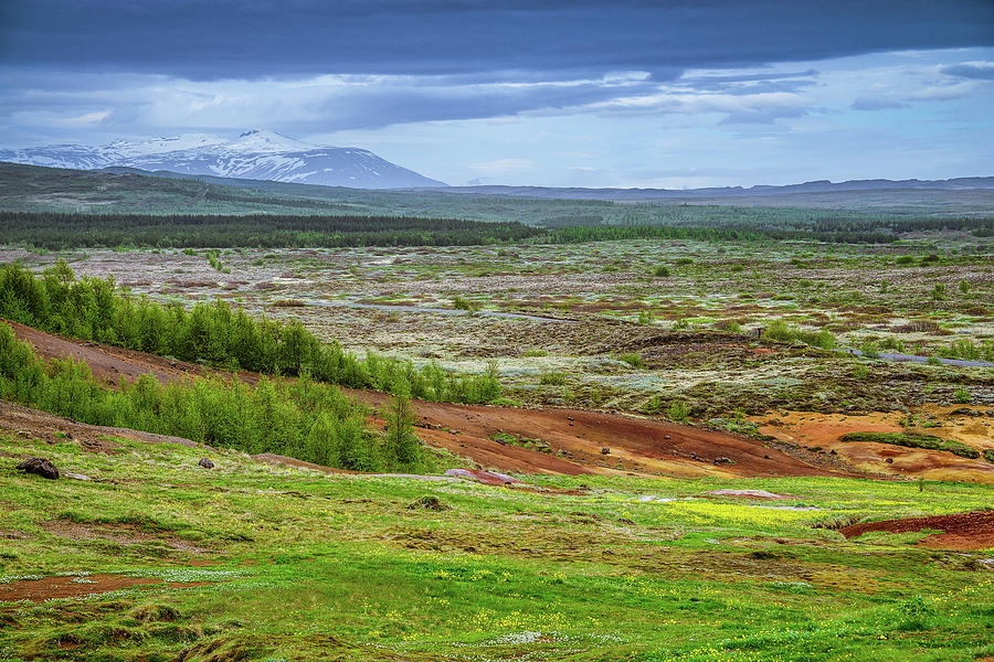 Tree Photograph - Volcanic landscape in Iceland by Catalin Tibuleac