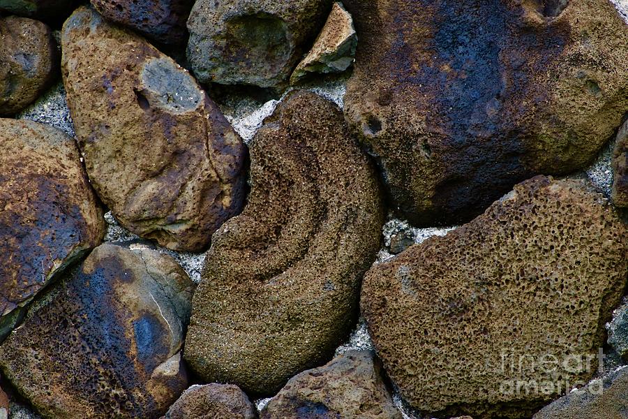 Volcanic Rock Wall Photograph by Craig Wood