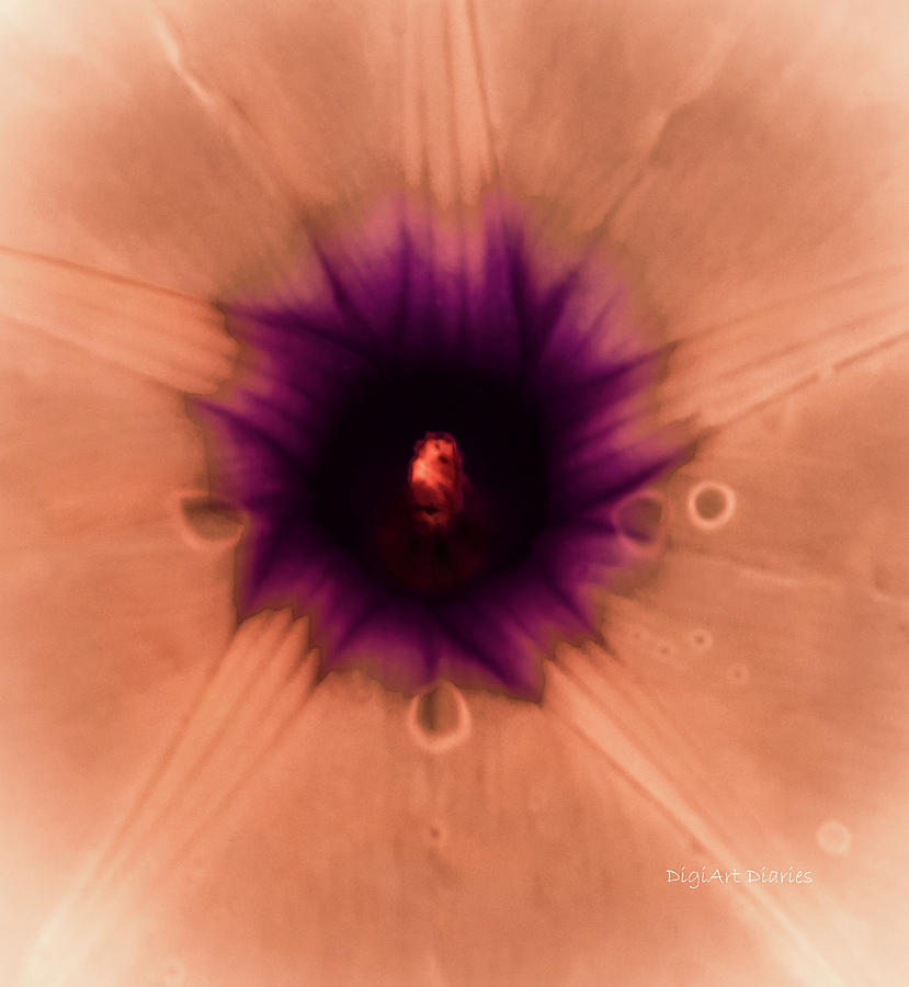 Volcanic Star Photograph by DigiArt Diaries by Vicky B Fuller
