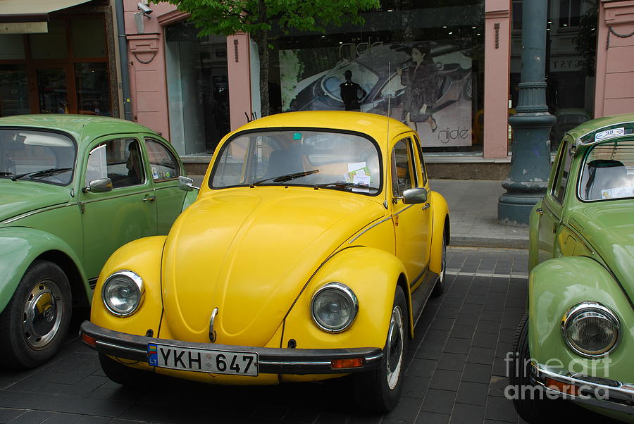 Volkswagen Beetle /13/ Photograph by Oleg Konin