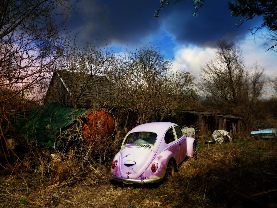 Volkswagen Graveyard Photograph by Digital Art Cafe