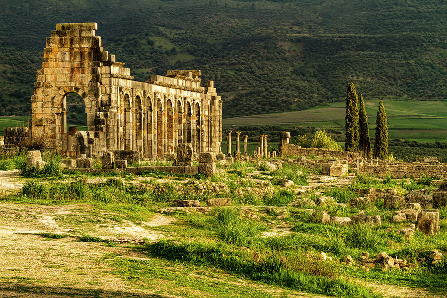 Volubilis at Sunset Photograph by Lindley Johnson