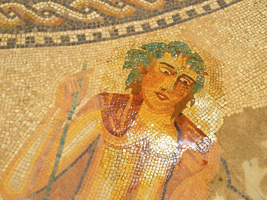 Unschooling Photograph - Volubilis Morocco Water On Mosaic by Exploramum Exploramum Unschooling Photograph - Volubilis Morocco Water On Mosaic by Exploramum Exploramum