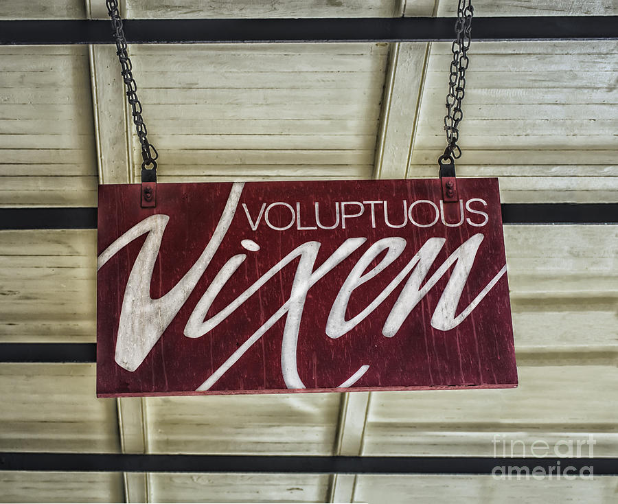 Voluptuous Vixen Photograph by Frances Ann Hattier