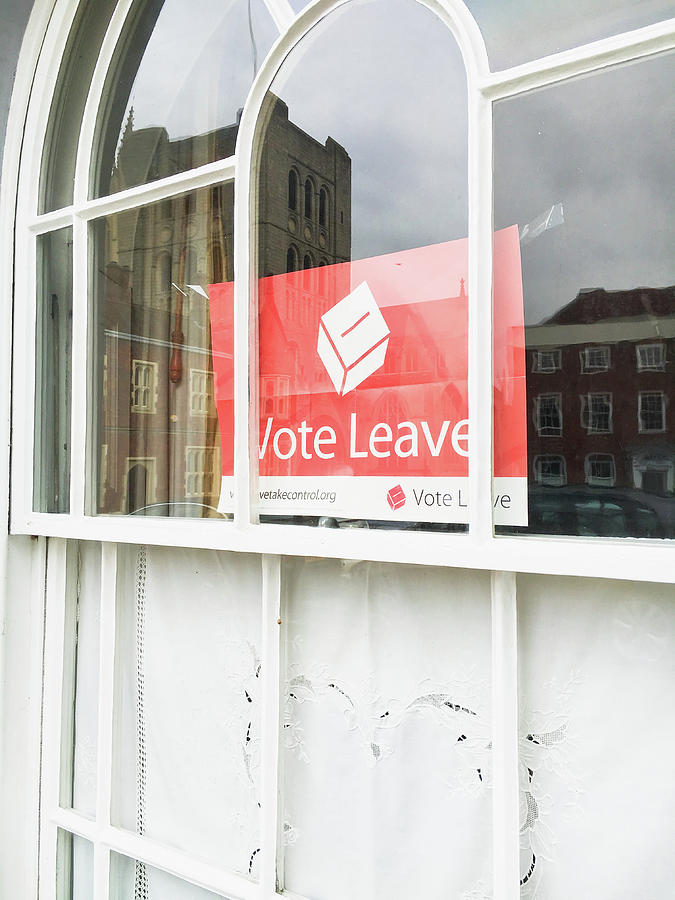 Advert Photograph - Vote leave by Tom Gowanlock